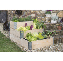 Hochbeet aus Holz mit Gemüse auf einer Terrasse