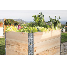 Hochbeet aus Holz mit Salat und Gemüse bepflanzt