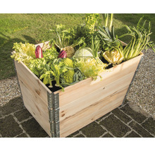Hochbeet aus Holz bepflanzt mit Salat und Gemüse