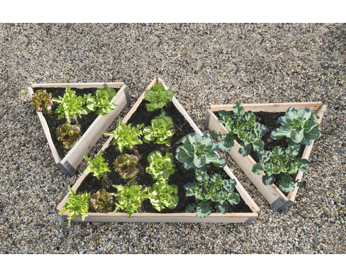 Drei dreieckige Hochbeete mit Salat und Gemüse