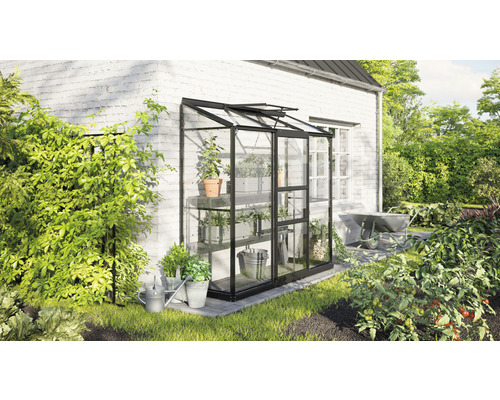 Gewächshaus aus Glas mit Metallrahmen an einer Hauswand mit Pflanzen