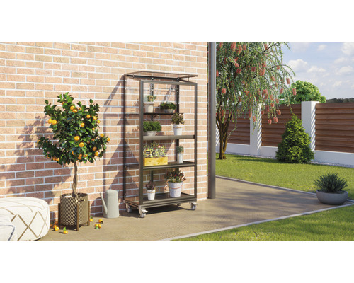 Gartenansicht mit einem Regalwagen aus Metall mit mehreren Pflanzen