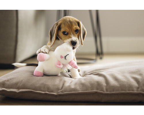 Beagle Welpe spielt mit einem Plüscheinhorn auf einem Hundekissen