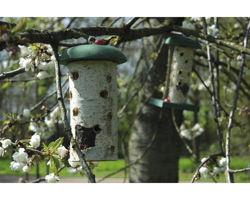 Vogelhaus aus Birkenholz mit Löchern zum Aufhängen im Garten