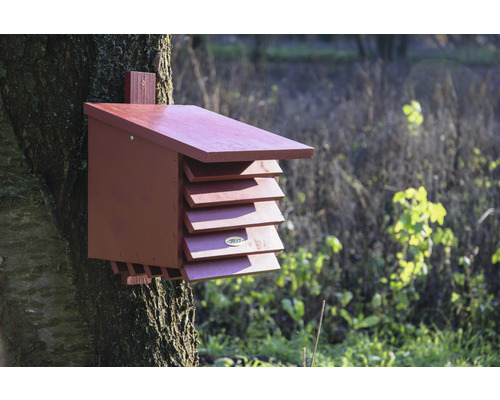 Fledermauskasten aus Holz an einem Baum befestigt