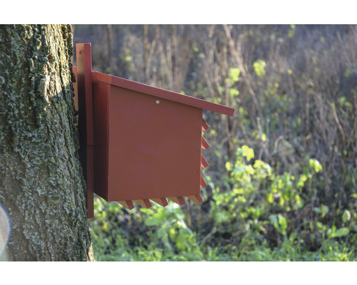 Holz-Fledermauskasten an einem Baum befestigt