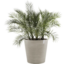 Pflanztopf Ecopots Amsterdam mit Rollen Kunststoff Ø 80 cm H 75 cm braungrau