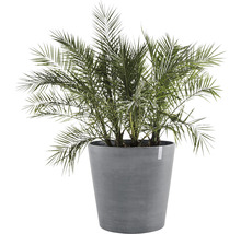 Pflanztopf Ecopots Amsterdam mit Rollen Kunststoff Ø 80 cm H 75 cm grau