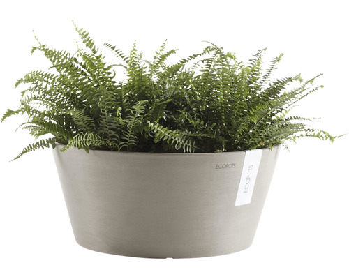 Topf mit Farn