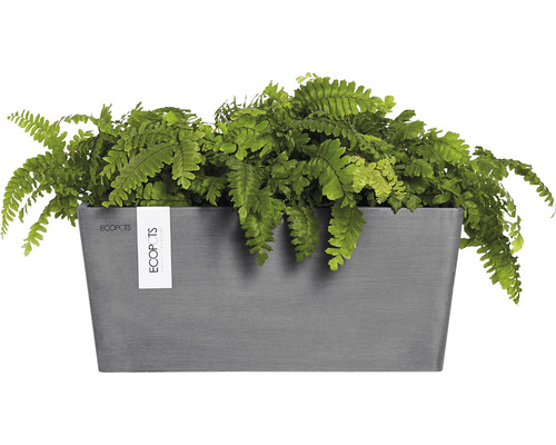Rechteckiger Pflanzkasten mit Farnpflanze