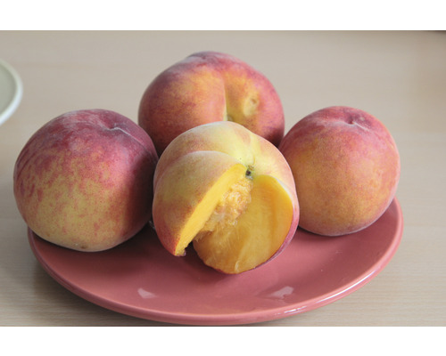 Vier Pfirsiche auf einem Teller, einer davon angeschnitten