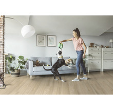 Helles Wohnzimmer mit Holzboden, Sofa und einer Frau, die mit ihren Hunden spielt