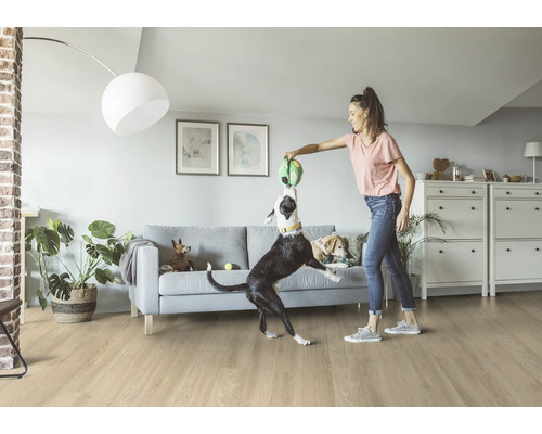 Helles Wohnzimmer mit Holzboden, Sofa und einer Frau, die mit ihren Hunden spielt