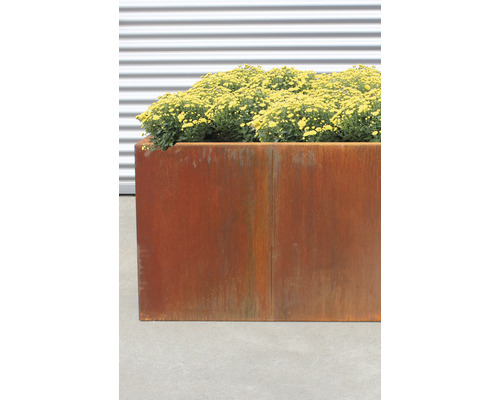 Blumenkasten aus Metall mit gelben Blumen