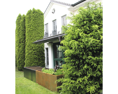 Außenaufnahme eines Hauses mit Pflanzenkübeln und Nadelbäumen