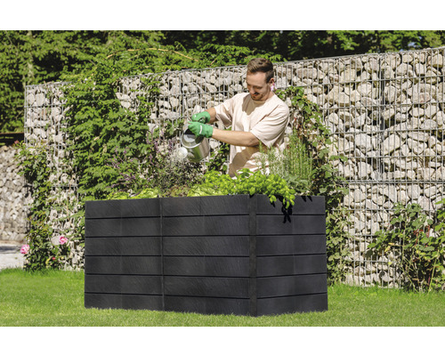 Mann gießt Pflanzen in einem schwarzen, erhöhten Gartenbeet im Garten.