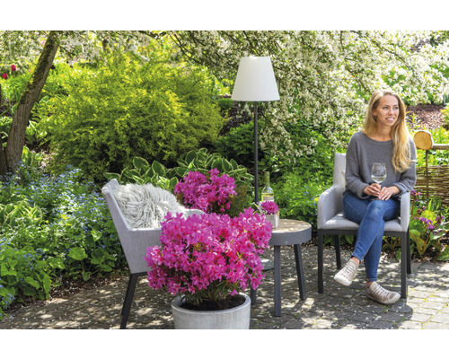 Gartenszene mit Frau, Stuhl, Tisch, Stehlampe und Rhododendron