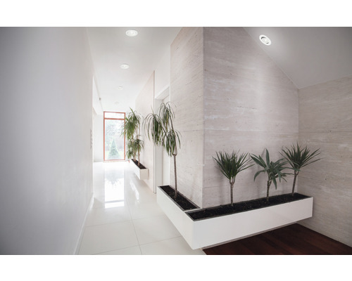 Heller Flur mit Pflanzen in Pflanzkästen