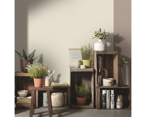 Dekorative Holzregale mit Pflanzen und Wohnaccessoires