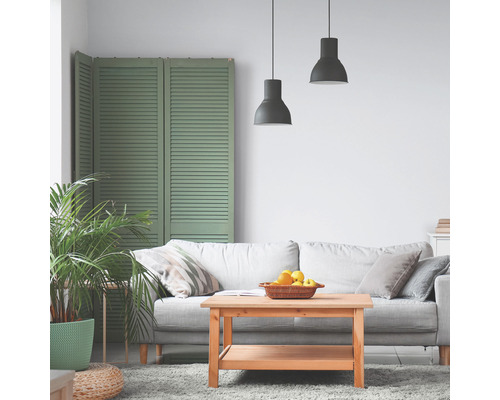Wohnzimmer mit Sofa, Holztisch, Zimmerpflanze und Raumteiler