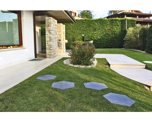 Gestalteter Garten mit Rasenfläche und Steinplattenweg