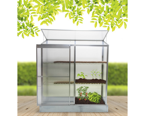 Gewächshaus mit Pflanzen auf Regalen