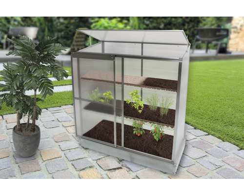 Gewächshaus mit Regalen und verschiedenen Pflanzen im Garten