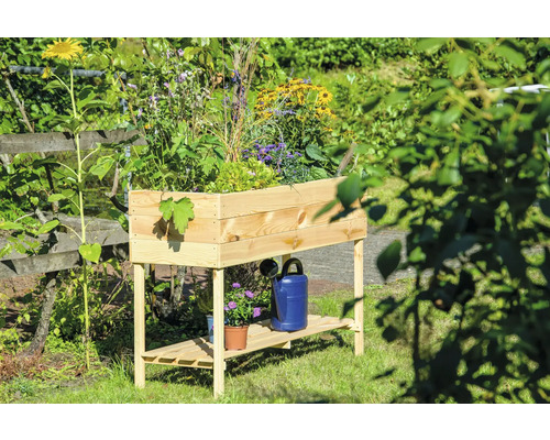 Hochbeet aus Holz mit Pflanzen und Gießkanne im Garten