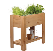 Hochbeet aus Holz mit Kräutern, Gießkanne und Gartengeräten