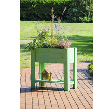 Hochbeet aus Holz mit Pflanzen und Insektenhotel im Garten