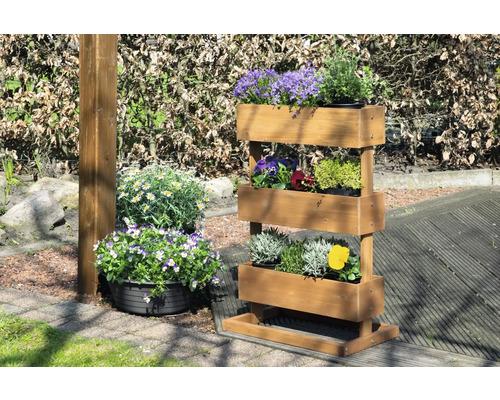 Holzpflanzregal mit verschiedenen Pflanzen im Garten