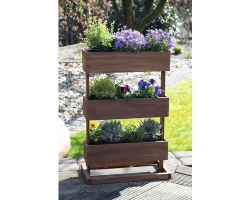 Hochbeet aus Holz mit drei Ebenen und verschiedenen Pflanzen