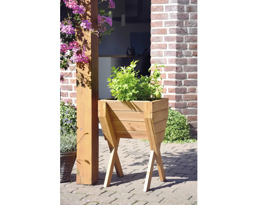 Holz Pflanzkasten mit Kräutern im Garten