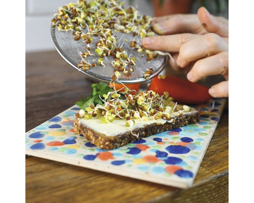 Auf einem Brett mit Farbmustern wird ein mit Sprossen belegtes Brot zubereitet.