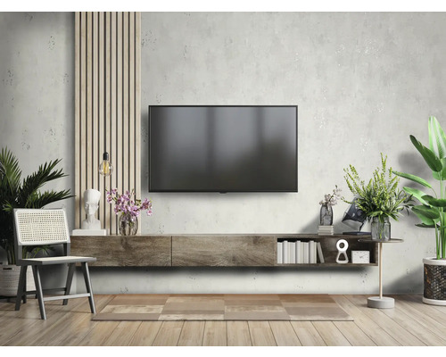 Wohnzimmer mit Fernseher, Lowboard, Stuhl und Zimmerpflanzen für eine gemütliche Atmosphäre