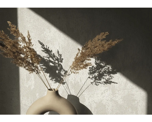 Dekorative getrocknete Blumen in einer Vase mit Schattenwurf an der Wand