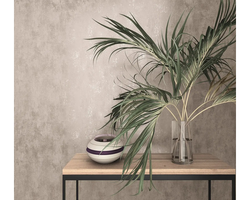 Dekoratives Arrangement mit Zimmerpflanze in Glasvase und Keramikvase auf einem Tisch