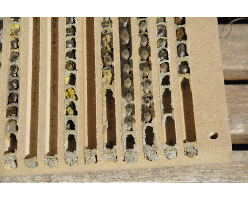 Insektenhotel Nisthilfe mit Brutkammern für Wildbienen und Insekten