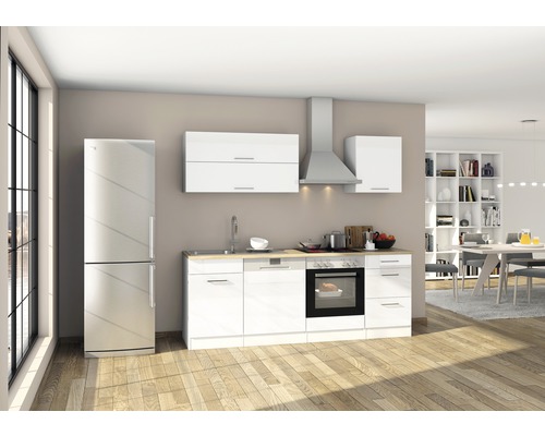 Küchenzeile mit Kühlschrank, Spüle, Kochfeld, Backofen und Dunstabzugshaube in einem hellen Raum.