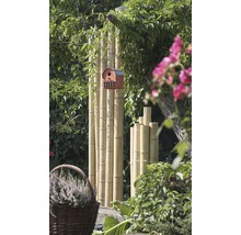 Teilelement Bambus geschlossen im Rahmen 90 x 180 cm-thumb-1