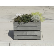 Holzblumenkasten mit Bepflanzung