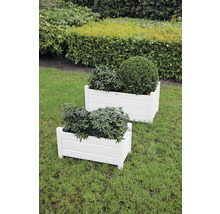 Zwei weiße Pflanzkästen aus Holz auf einer Rasenfläche mit Bepflanzung