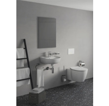 WC-Bürstengarnitur Ideal Standard IOM Cube chrom glänzend E2195AA-thumb-2