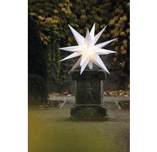 Weihnachtsstern auf Steinsäule im Garten