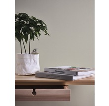 Dekorative Zimmerpflanze auf einem Holztisch mit zwei Büchern.