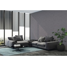 Modernes Wohnzimmer mit grauer Eckcouch, Fensterjalousien, Pflanze und blauem Teppich