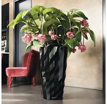 Schwarzer Lechuza Blumentopf mit Pflanze und rotem Sessel