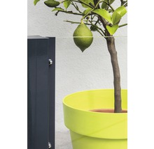 Teilelement Vidrio Klarglas 103 x 180 cm