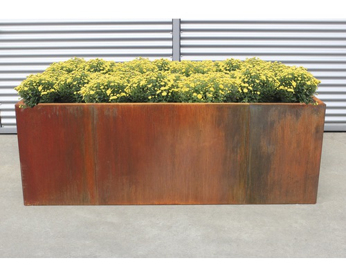 Hochbeet klassisch palatino Urban 300 x 100 x 70 cm Cortenstahl Rechteckiger Pflanzkasten aus Metall mit gelben Blüten
