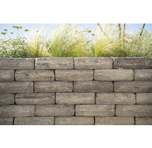 Mauerstein iBrixx Passion Maxi marrone 21 x 21 x 12,5 cm-thumb-2